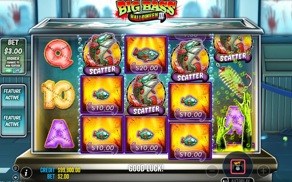 Free Spins with blue and red WILD FISHERMAN strips