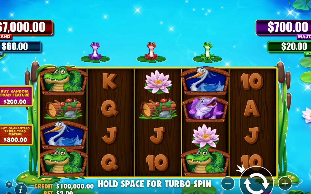 Tiny Toads